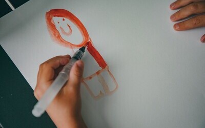 anima visual bjEhoPbwKLY unsplash