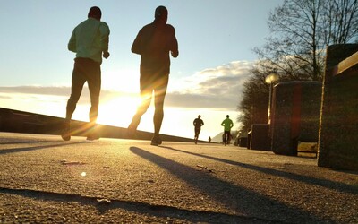 huckster V62UrdknDCA unsplash